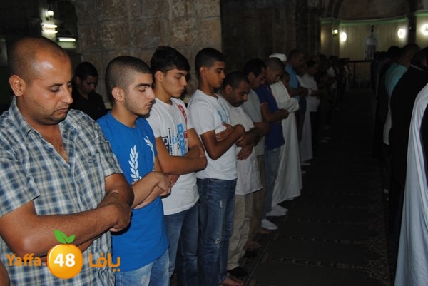 tarawe7 ramlasjju (52).JPG